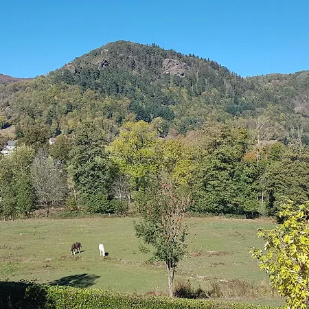 Le Kino Panorama *