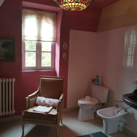 Le Kino Panorama לינה וארוחת בוקר Vic-sur-Cère