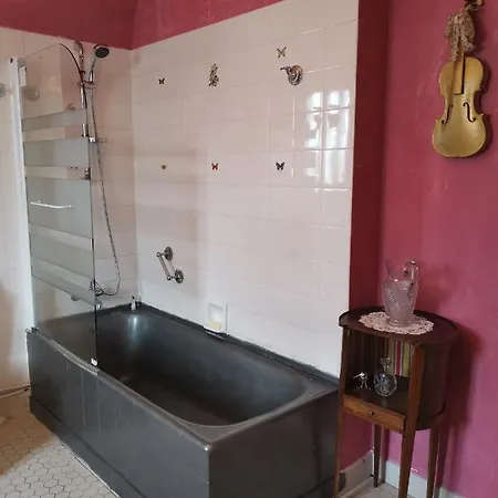 Le Kino Panorama לינה וארוחת בוקר Vic-sur-Cère